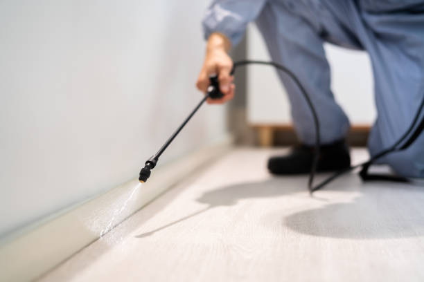 Licensed Cockroach Control service in Rigby, ID - Nex Pest Control