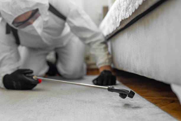 Professional Cockroach Control technician working in Rigby, ID