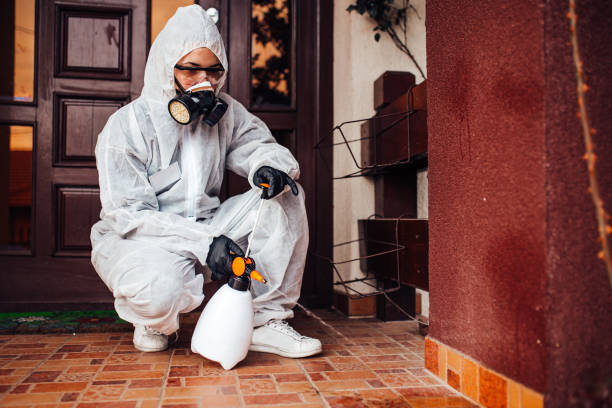 Reliable Cockroach Control contractor in Rigby, ID by Nex Pest Control